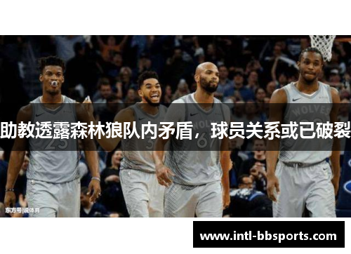 助教透露森林狼队内矛盾，球员关系或已破裂